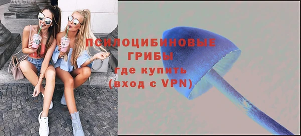 гидропоника Нягань