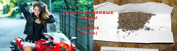 спиды Болохово