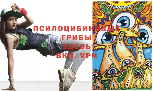 гидропоника Нягань