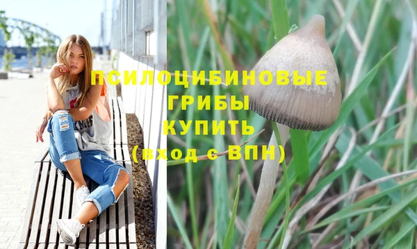 эйфоретик Нязепетровск