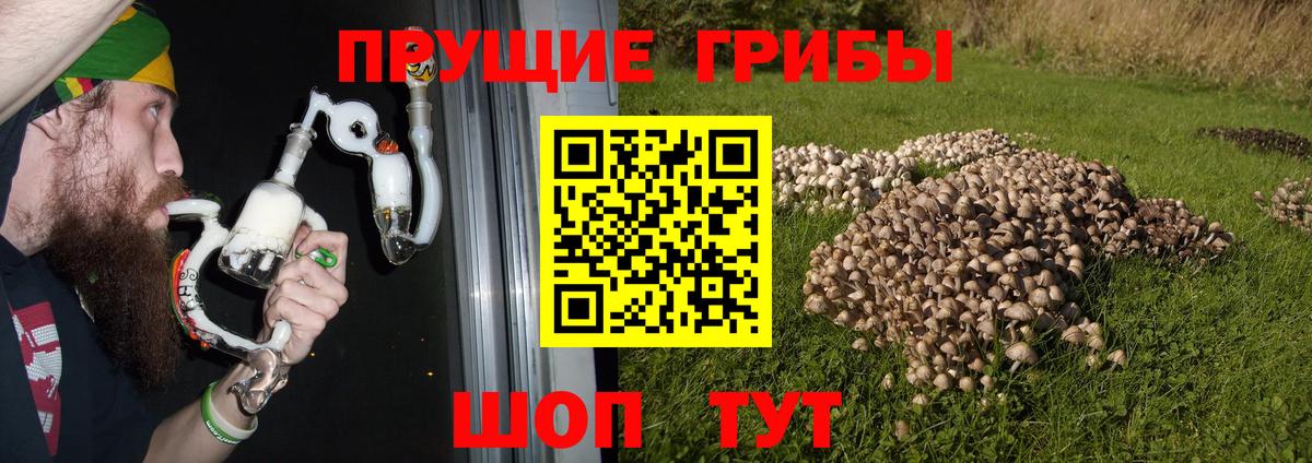 где найти   Псилоцибиновые грибы Magic Shrooms  Вход с VPN  Химки 