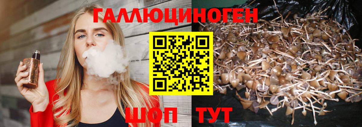 Псилоцибиновые грибы Psilocybe  Химки 